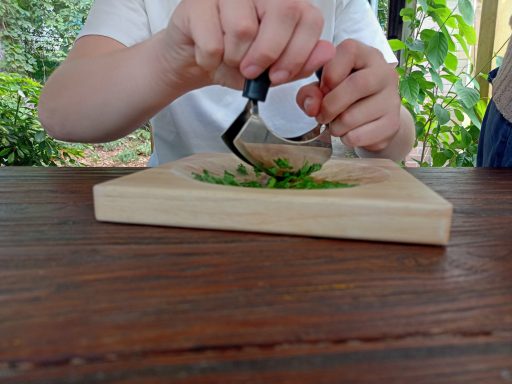 Wildkräuterküche